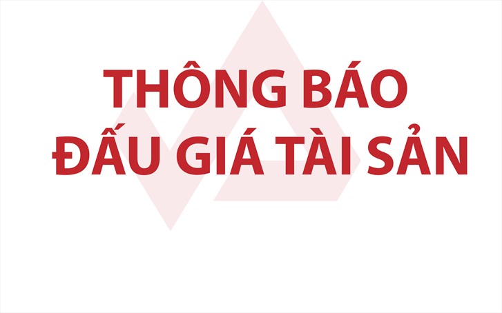 THÔNG BÁO ĐẤU GIÁ TOÀN BỘ VỐN GÓP CỦA TỔNG CÔNG TY THÉP VIỆT NAM - CTCP TẠI CÔNG TY TNHH ỐNG THÉP VIỆT NAM