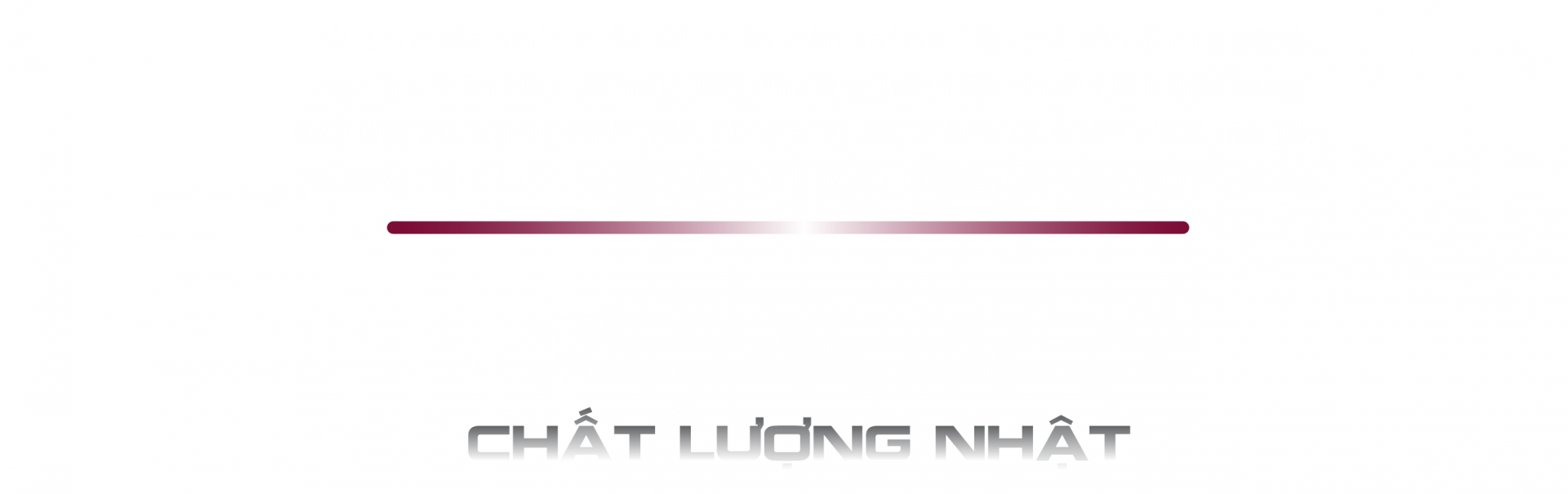 ton-phuong-nam--nang-tam-ton-viet_670e1cc37a9fb