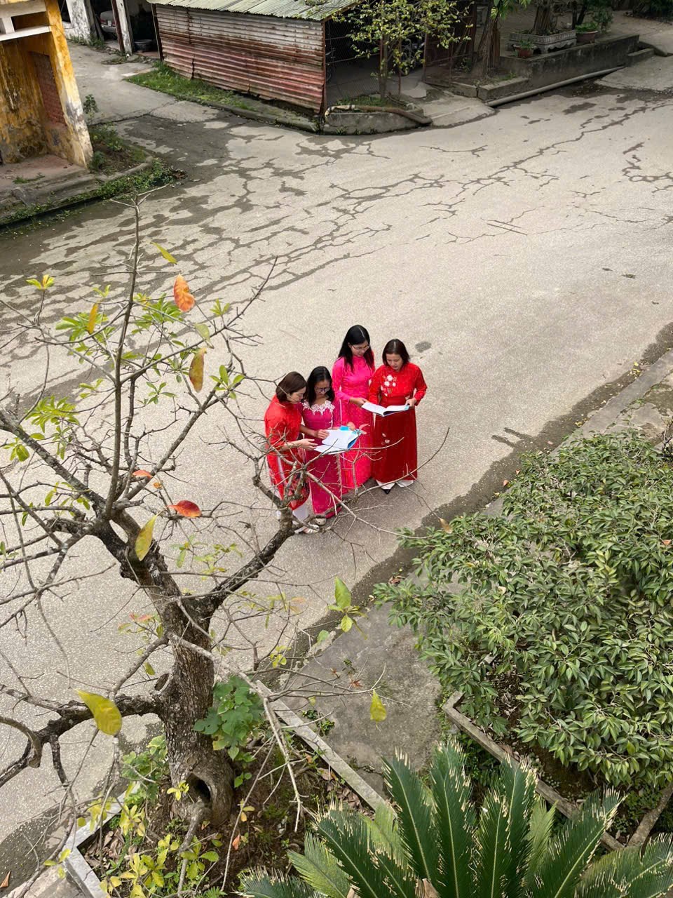 tong-cong-ty-thep-viet-nam-ctcp--ao-dai-em-mac-dat-troi-cung-nghieng_67caa0f2e4dba