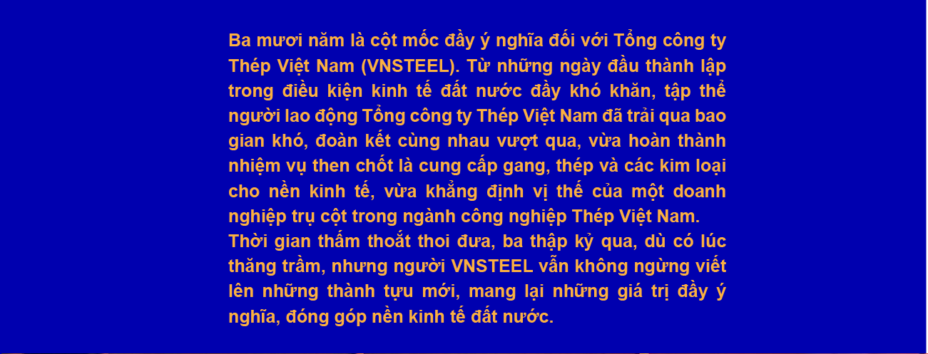 30-nam-tong-cong-ty-thep-viet-nam--kien-tao-bang-thep--phung-su-bang-trai-tim_680fd54bbb095