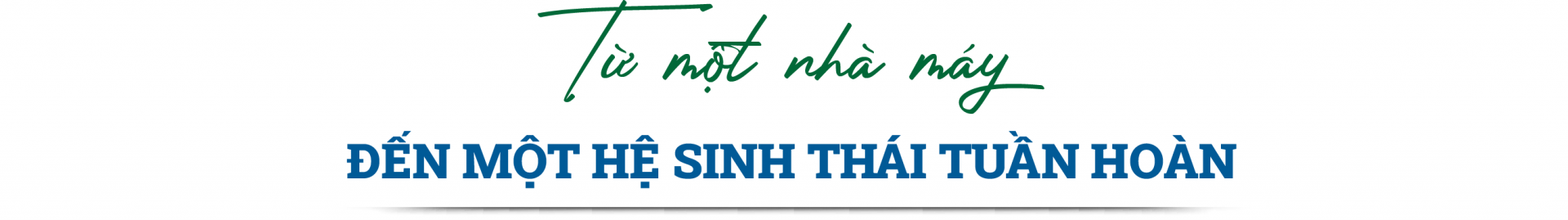 bao-ve-moi-truong-o-thep-mien-nam--nhin-tu-mot-chu-trinh-kinh-te-tuan-hoan_6a86b5565aa3c