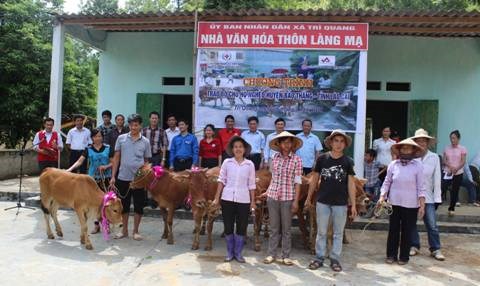 VNSTEEL trao tặng 10 con bò giống cho Huyện Bảo Thắng, tỉnh Lào Cai