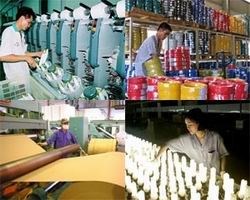 Kiểm tra việc thực hiện kế hoạch được giao của DNNN